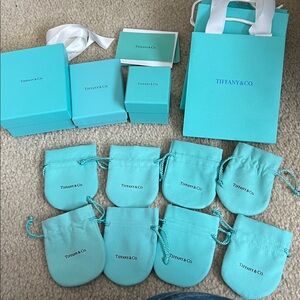 Authentic Tiffany & Co. Turquoise Gift Bags Collection
